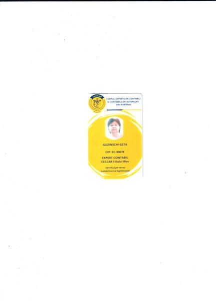 Expert contabil judiciar, Expert evaluator judiciar